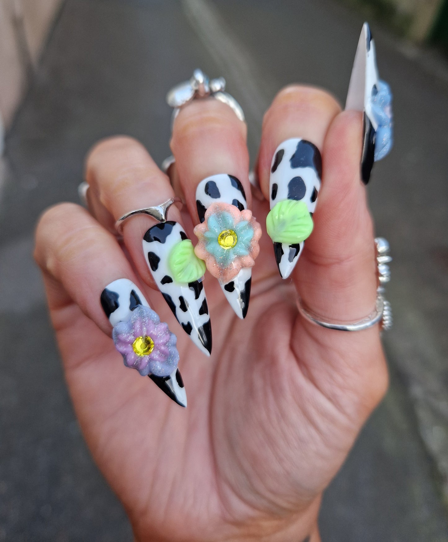 CATTLE IN SPRING